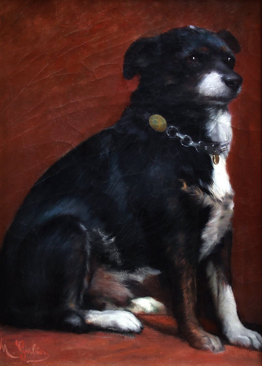 Portrait Of Dog With Collar