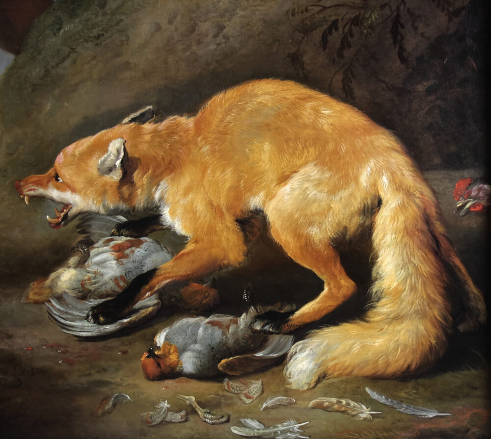 Fox attacked by two hunting dogs , oil on canvas Attr. Frans Snyders