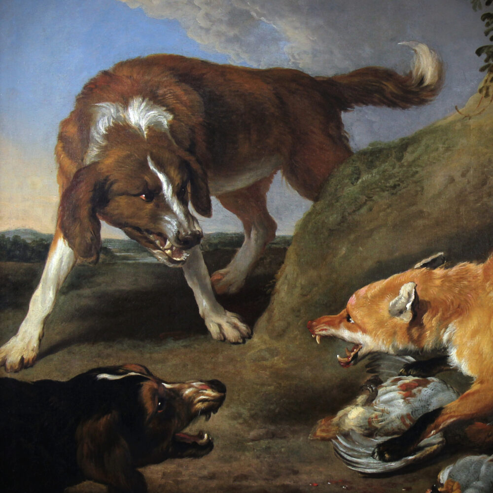 Fox attacked by two hunting dogs , oil on canvas Attr. Frans Snyders