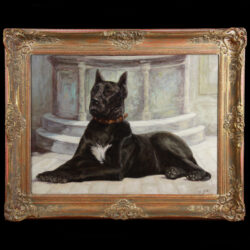 Great dane dog portrait