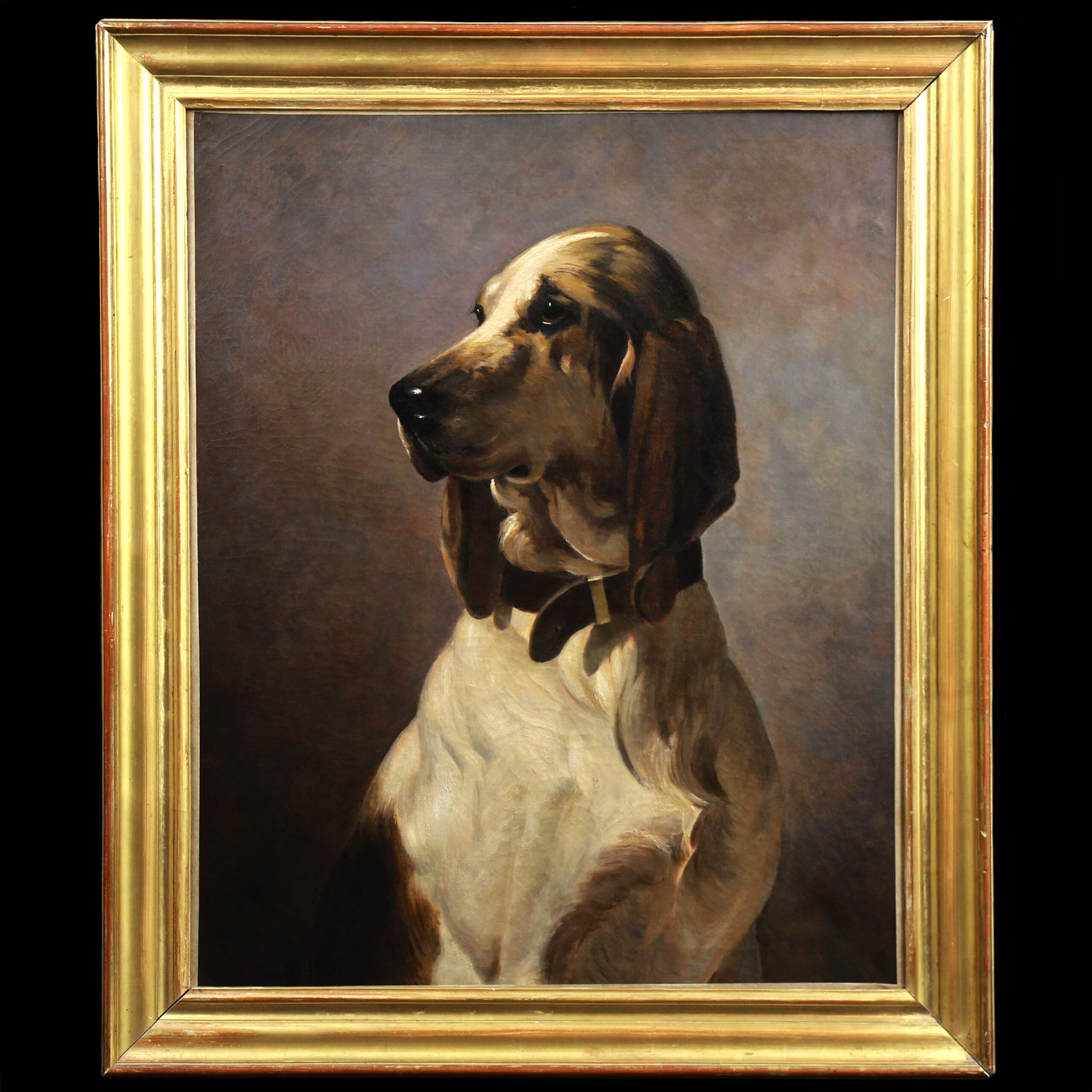 Hunting store dog portraits