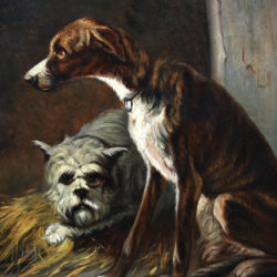 two hunting dogs in a kennel