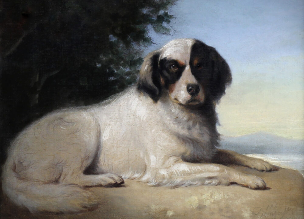 Portrait of a dog, French oil painting on canvas by Augustin Luc Demoussy