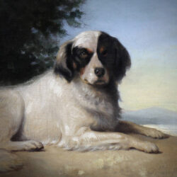 Portrait of a dog, French oil painting on canvas by Augustin Luc Demoussy