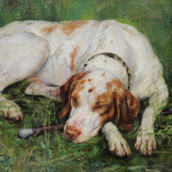 Resting Dog in a landscape