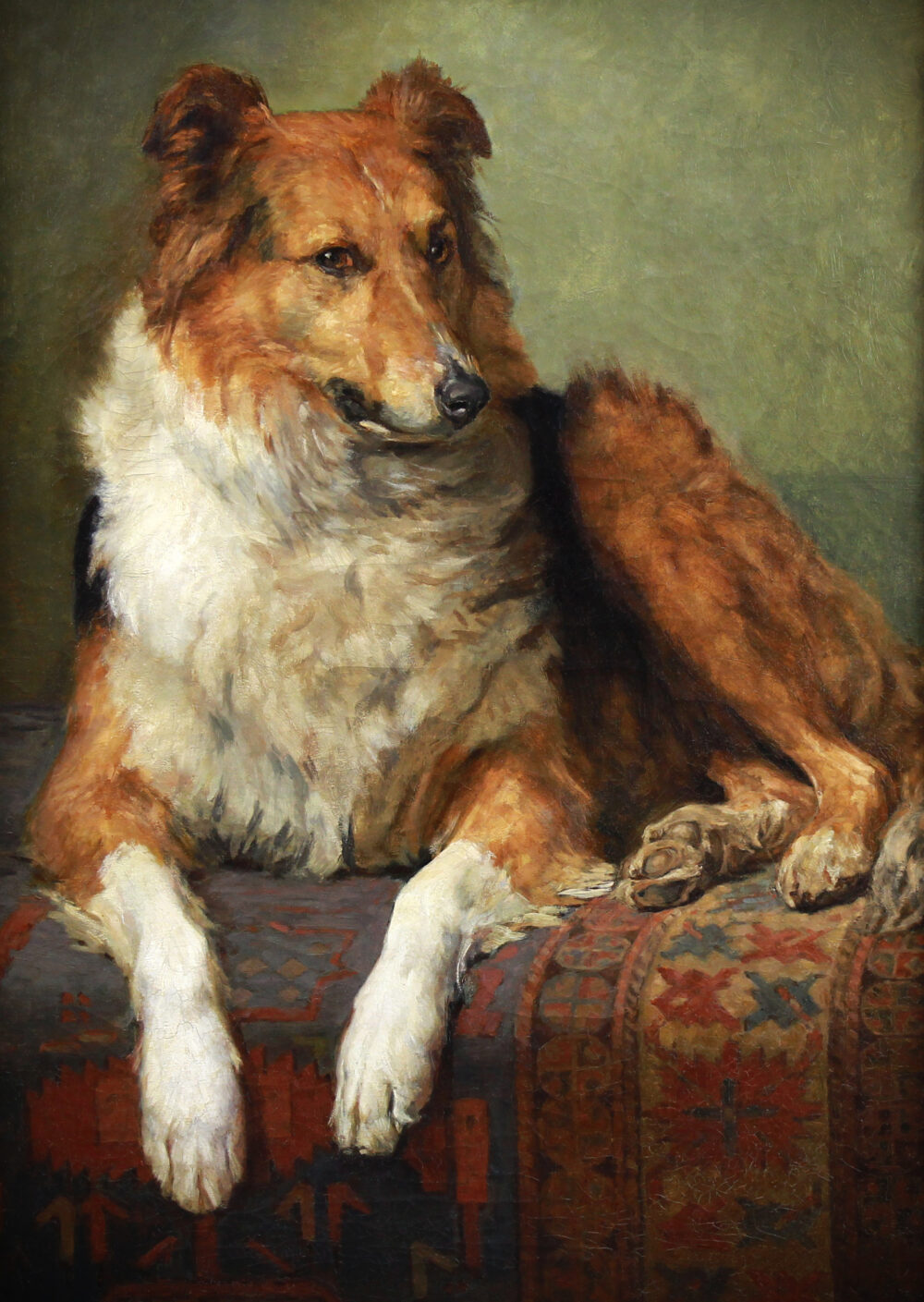 Exclusive oil on canvas portrait of a collie dog 19th century