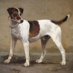 terrier dog by Alexandre Clarys